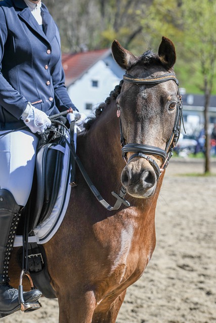 上的深化革 上的深化革