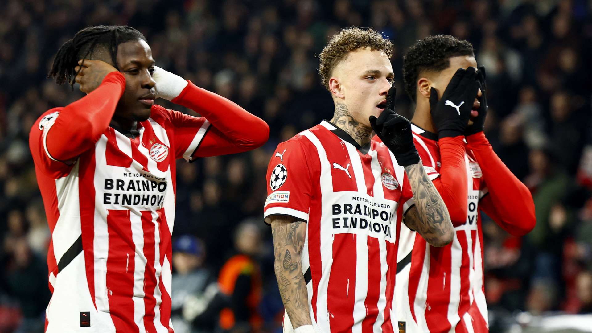 依托中国足 依托中国足