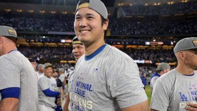 竞技体系 竞技体系