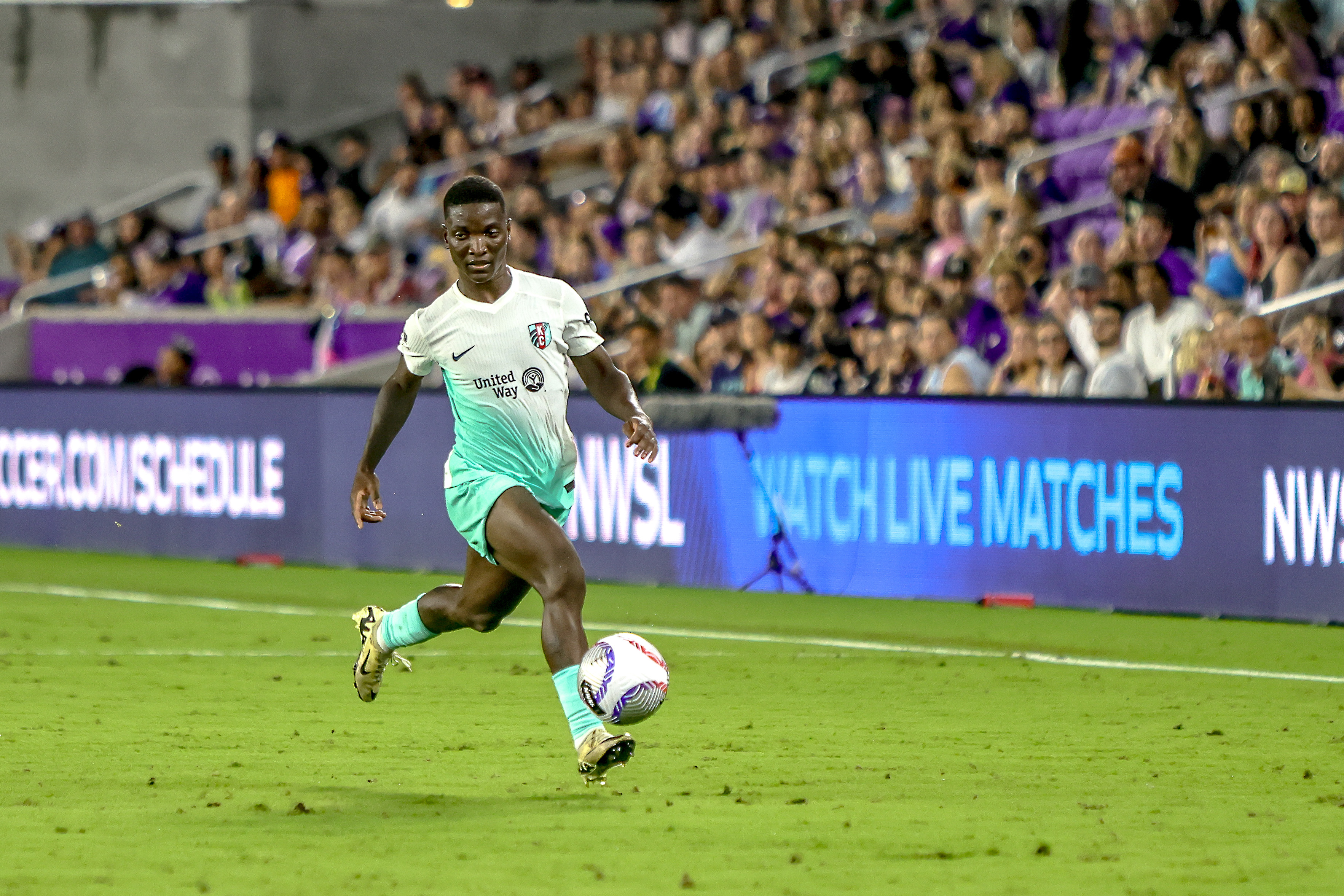 的半生戎马 的半生戎马