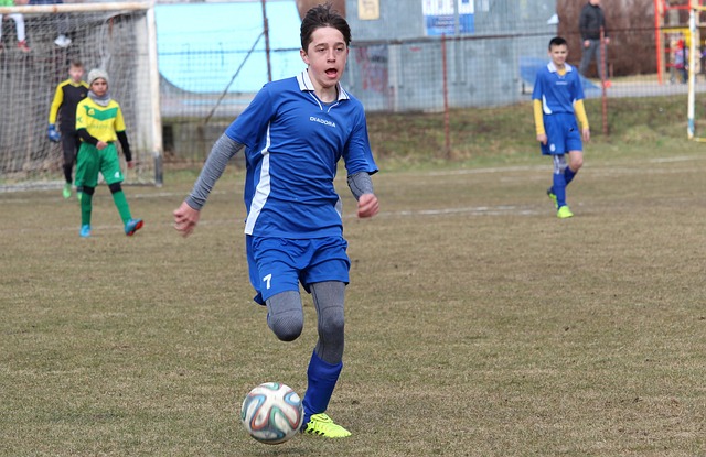 维斯的对抗 维斯的对抗