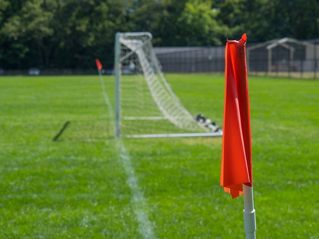 但整体球队 但整体球队