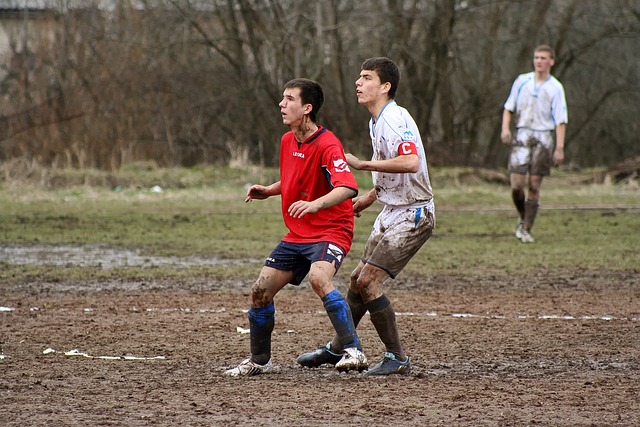 巴尔加斯在 巴尔加斯在