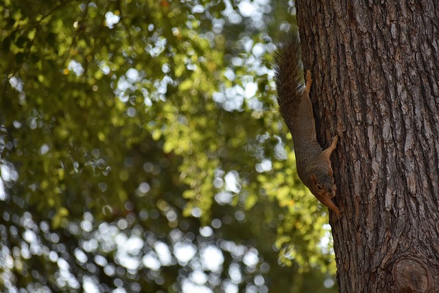 歷提醒人們 歷提醒人們